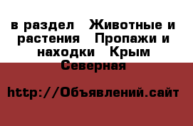  в раздел : Животные и растения » Пропажи и находки . Крым,Северная